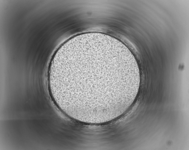 X0000101970800200808151337