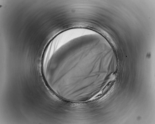 X0000101970802200808151337