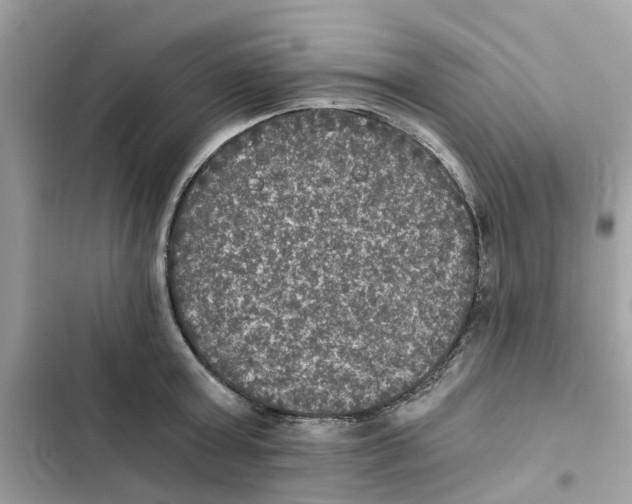 X0000101970803200808151337