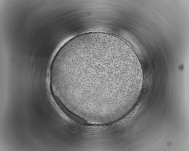 X0000101970804200808151336