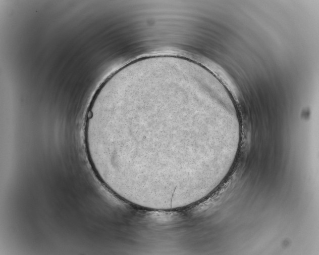 X0000101970805200808151336