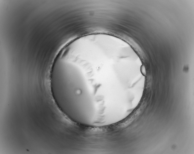 X0000101970806200808151336