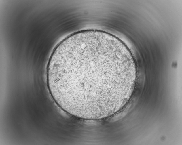 X0000101970807200808151336
