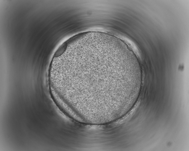 X0000101970808200808151336