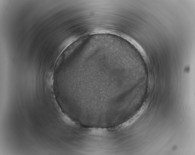 X0000101970809200808151336