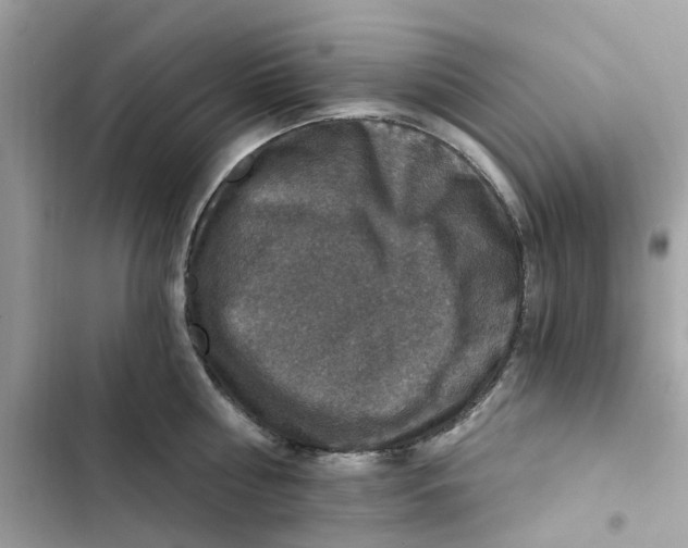 X0000101970810200808151336