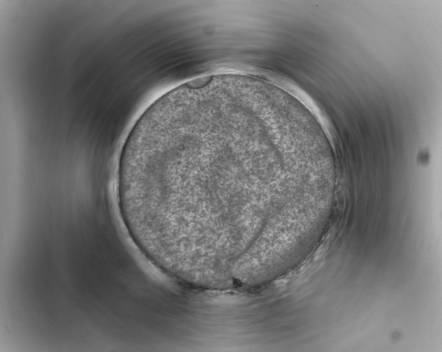 X0000101970811200808151336