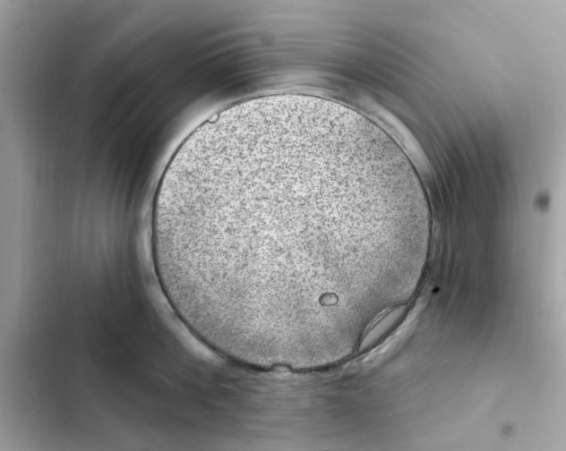 X0000101970812200808151336
