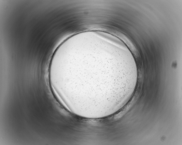 X0000101970814200808151336