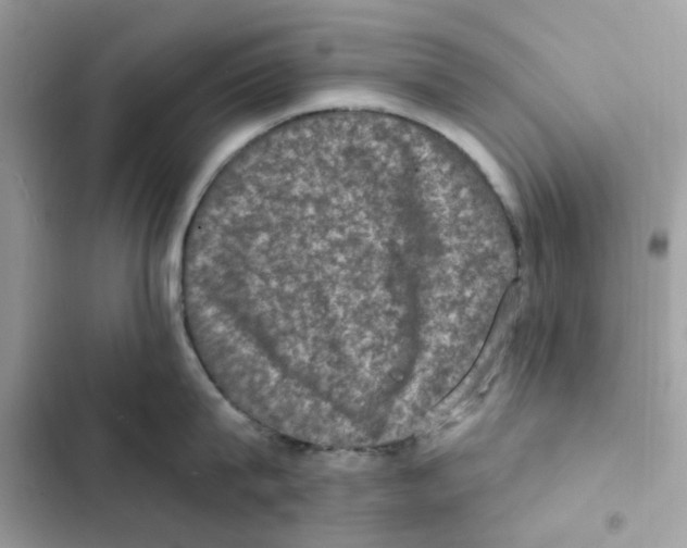 X0000101970815200808151336
