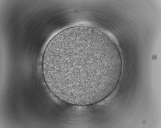 X0000101970816200808151336