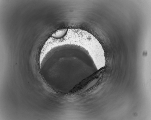 X0000101970817200808151335