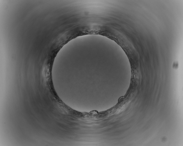 X0000101970818200808151335