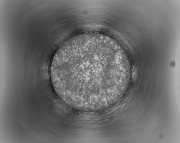 X0000101970819200808151335