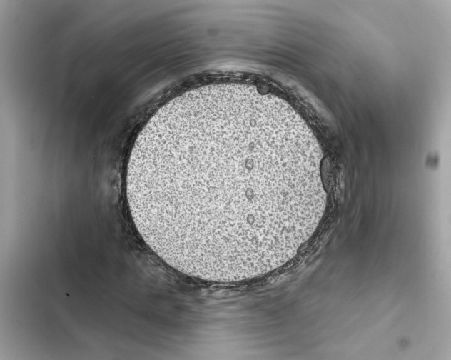 X0000101970821200808151336