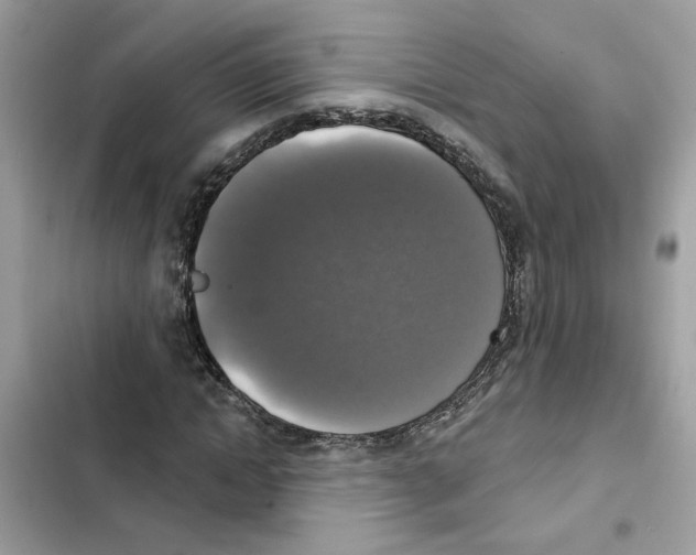 X0000101970822200808151336