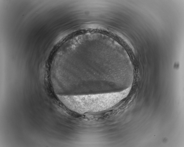 X0000101970823200808151336
