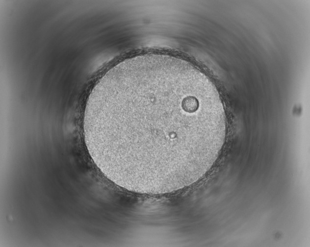 X0000101970824200808151336