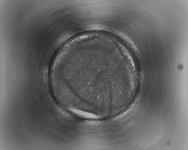 X0000101970825200808151336