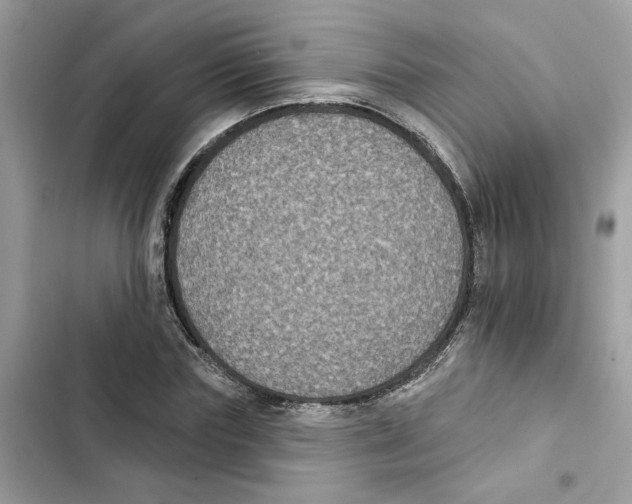 X0000101970827200808151336