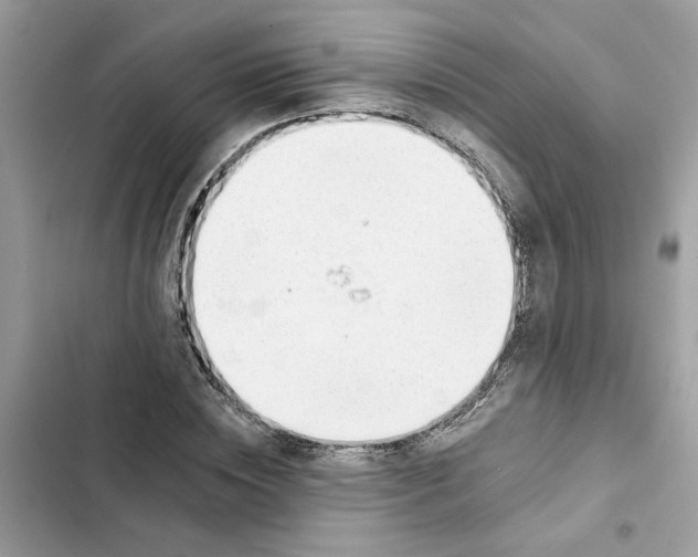 X0000101970828200808151336