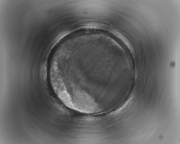 X0000101970829200808151336