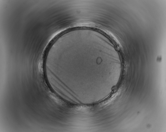 X0000101970830200808151336