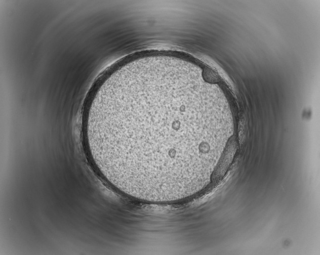 X0000101970831200808151336