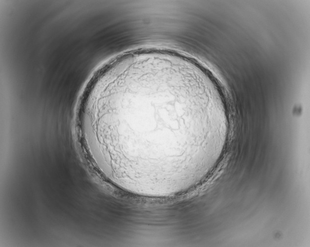 X0000101970832200808151336