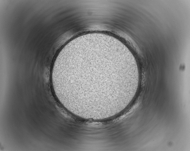 X0000101970833200808151336