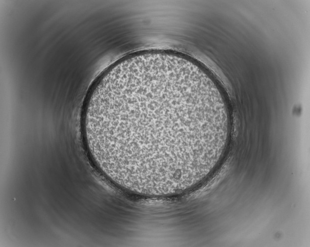 X0000101970834200808151336