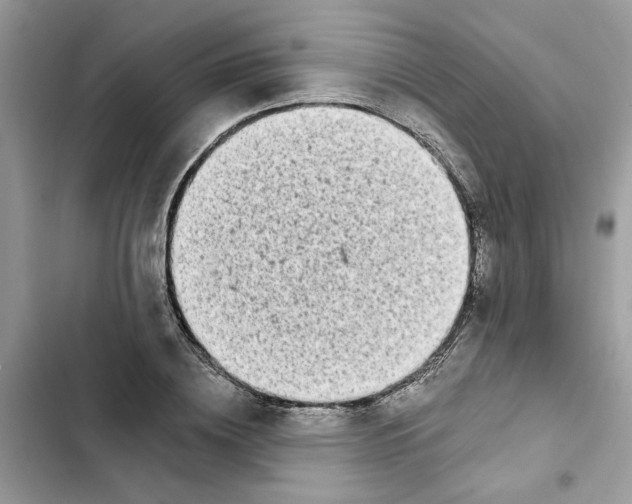 X0000101970836200808151336