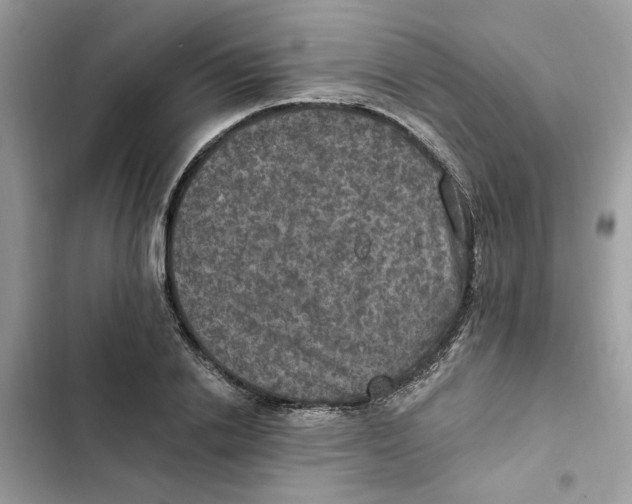 X0000101970838200808151336
