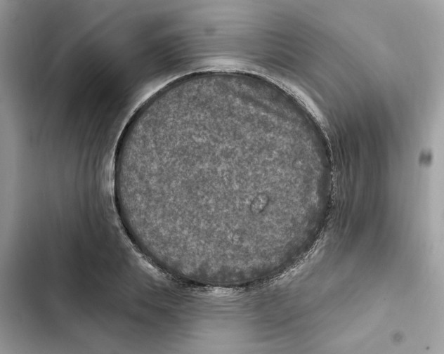 X0000101970839200808151336