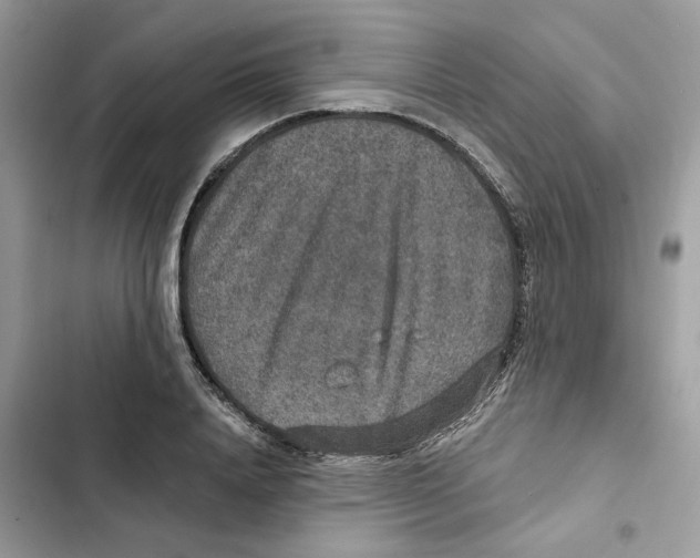 X0000101970840200808151336