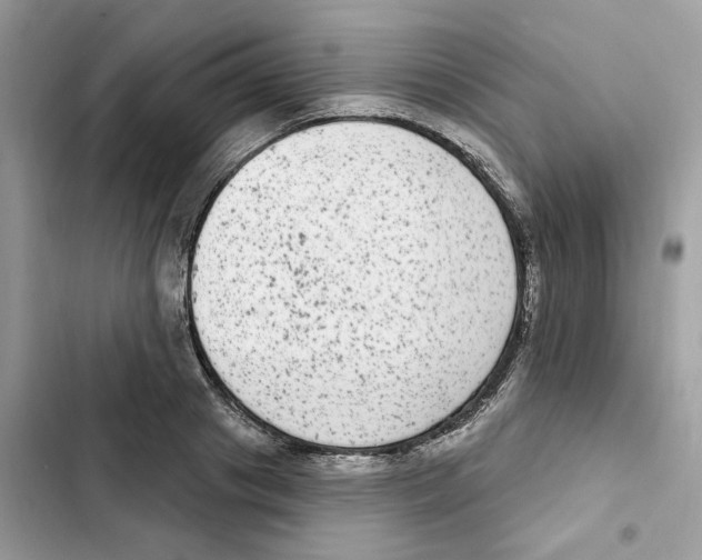X0000101970841200808151336