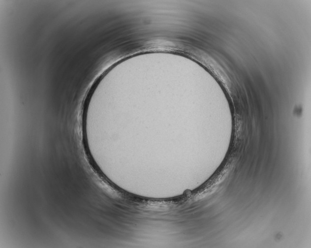 X0000101970843200808151336