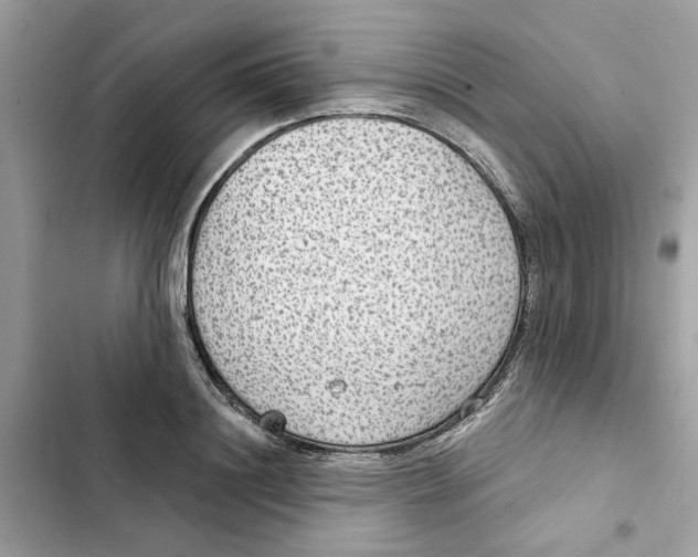 X0000101970844200808151336