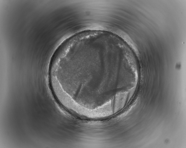 X0000101970845200808151336