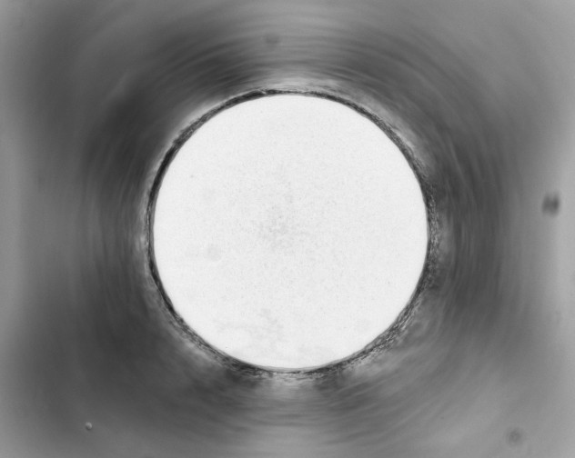 X0000101970848200808151336
