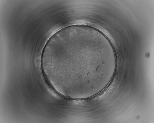 X0000101970850200808151336