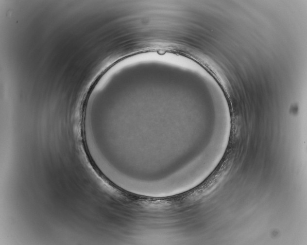 X0000101970851200808151336