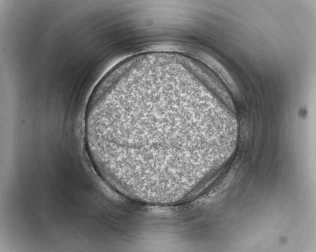 X0000101970852200808151336