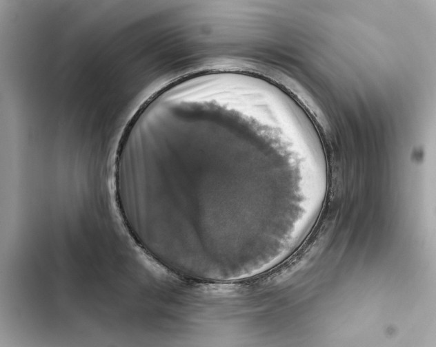 X0000101970853200808151336