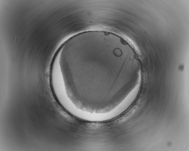 X0000101970854200808151336