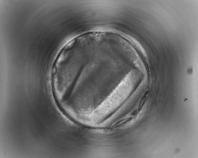 X0000101970855200808151336