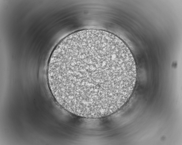 X0000101970856200808151336