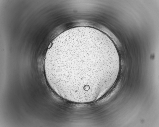 X0000101970857200808151336