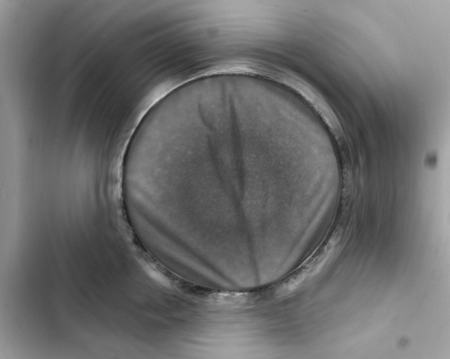X0000101970858200808151336