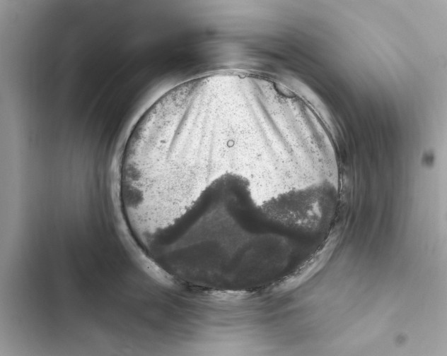 X0000101970859200808151336